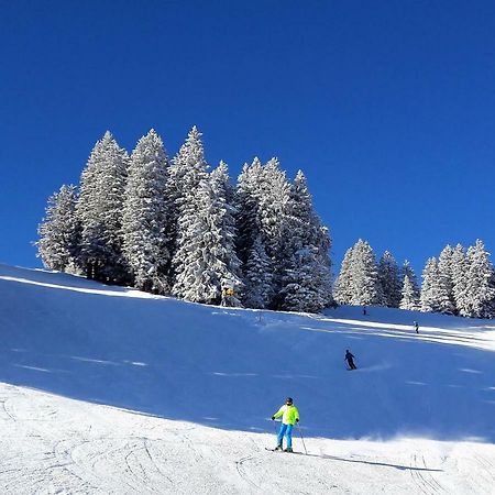 Laubrinus Lägenhet Adelboden Exteriör bild