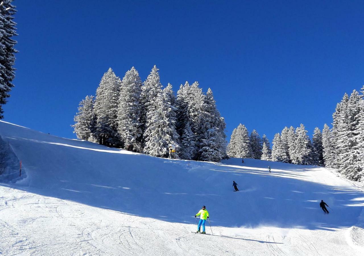 Laubrinus Lägenhet Adelboden Exteriör bild