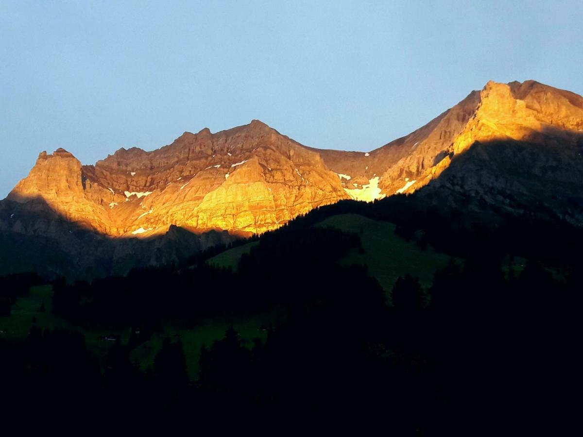 Laubrinus Lägenhet Adelboden Exteriör bild